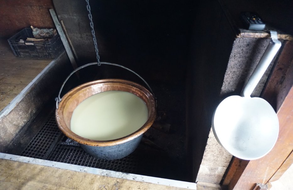 Fotografia przedstawia bacę Jana Hyrczyka wraz z juhasem na polanach wypasowych w Baligówce, na Podhalu. Baca wraz z juhasem siedzą w strundze przy koszarze i doi owce.