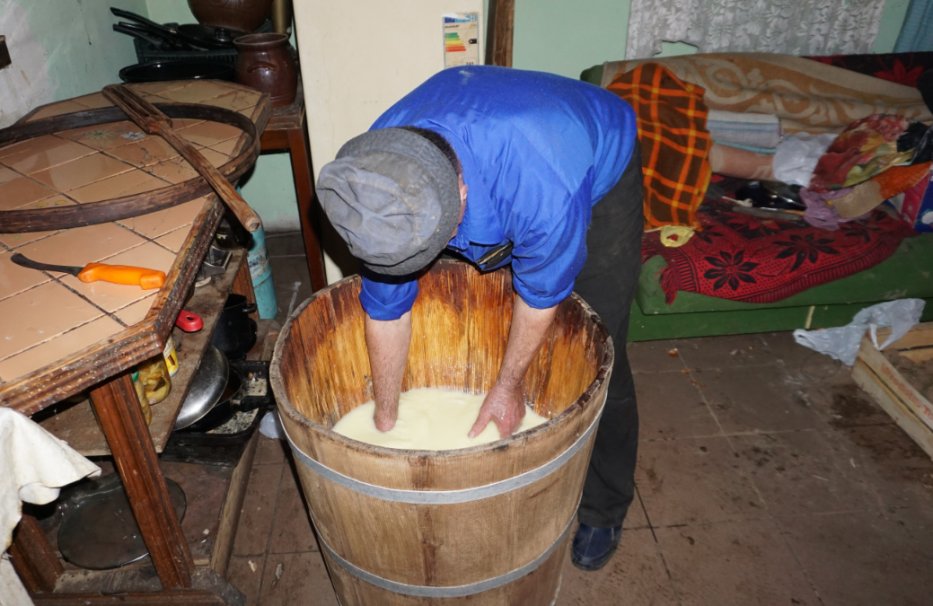 Wyrabiający ser baca Tadeusz senior roztrzepywał dokładnie ścięte mleko drewnianą felurą – rodzajem łyżki z dziurami, co powodowało, że w mleku pojawiły się drobne, ale równo rozprowadzone grudy sera. Po zaklaganiu sera baca Tadeusz Szczechowicz senior rozpoczął stopniowe formowanie sera w pucierze. Delikatnymi ruchami moczył dłonie w zaklaganym mleku i łączył ze sobą kawałki sera.